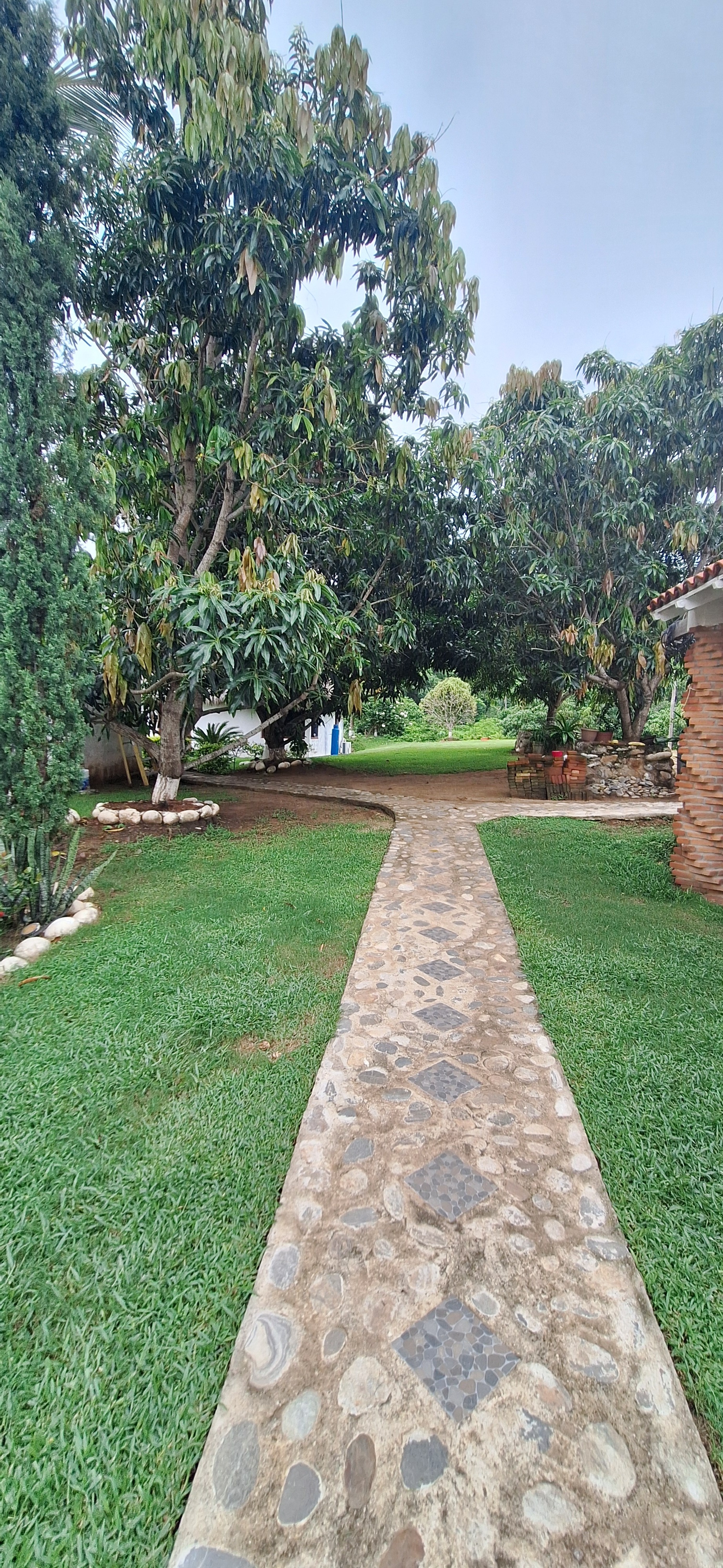 Gallery image 12